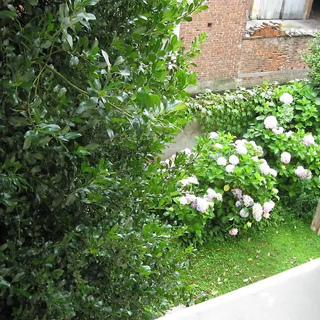Nido Di Rondine Anfiteatro Morenico Bed & Breakfast